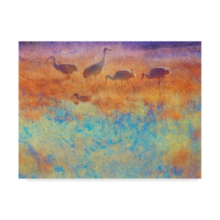 Chris Vest 'Cranes In Soft Mist' Canvas Art,24x32